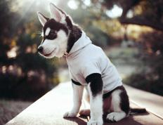 世俱杯直播-欧冠半决赛之夜，久保建英的忍者刺客式冠军级表演