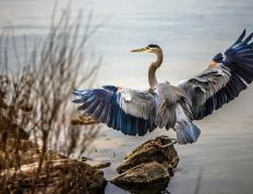 世俱杯2025-冷门与热门的交响曲，哥伦比亚足球的逆袭与NBA季后赛的王者时刻