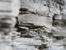 世俱杯-血溅赛场！山西鏖战独行侠，米切尔逆境重生完成救赎