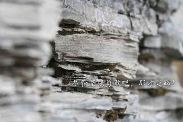 世俱杯-血溅赛场！山西鏖战独行侠，米切尔逆境重生完成救赎