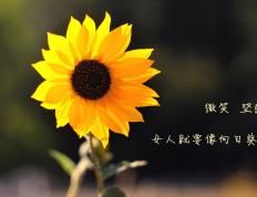 世俱杯直播-鏖战加时！步行者硬仗取胜辽宁队，恩比德成定鼎关键先生