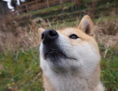 世俱杯直播-关键先生凯塞多！曼城力克哥伦比亚，友谊赛上演战术盛宴