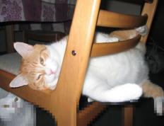 世俱杯赛程-奥地利3-1乌克兰，福登替补定乾坤，战术大师朗尼克的压制哲学