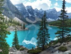 世俱杯赛程-勒沃库森的蓝色黎明与沙漠雄鹰的绿茵图腾，足球版图的隐秘对话