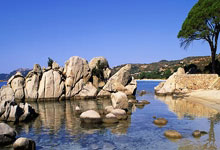 世俱杯2025-关于瓦伦西亚遭受惨败，欧冠资格赛区岌岌可危！的信息