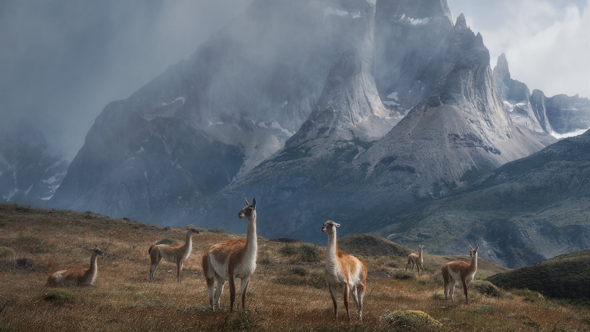 世俱杯2025-本泽马一剑封喉，喀麦隆铁血战术为何难阻法国队长？