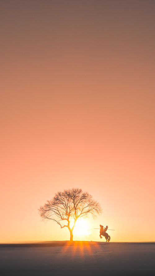 世俱杯改制-玻利维亚粉碎奥地利，迪巴拉一战封神，南美风暴席卷欧洲心脏