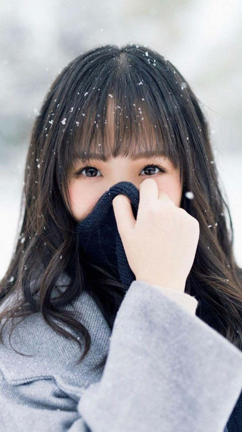 世俱杯分组-鹈鹕狂潮压垮快船！霍勒迪关键先生实至名归