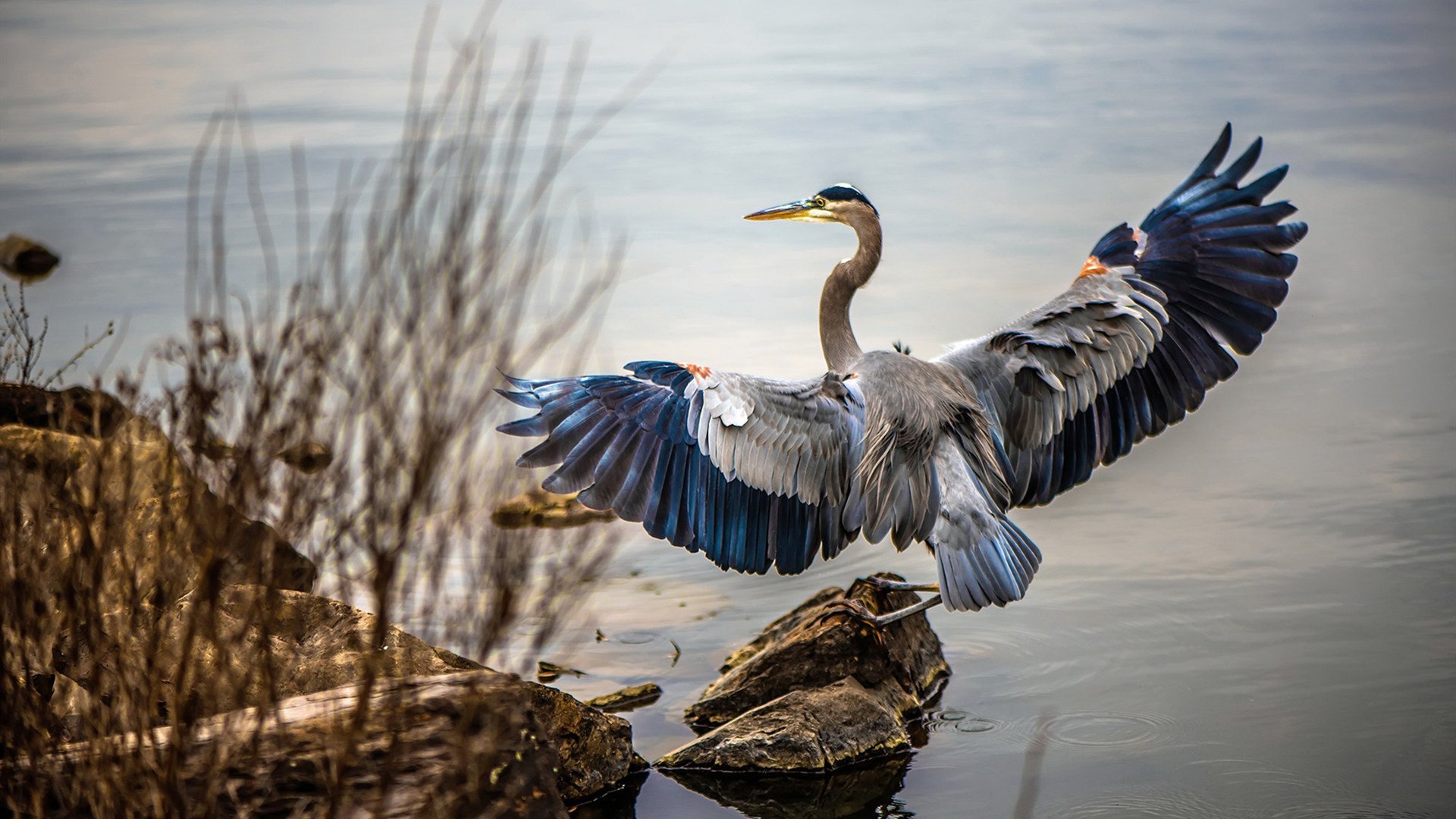 世俱杯2025-冷门与热门的交响曲,哥伦比亚足球的逆袭与NBA季后赛的王者时刻
