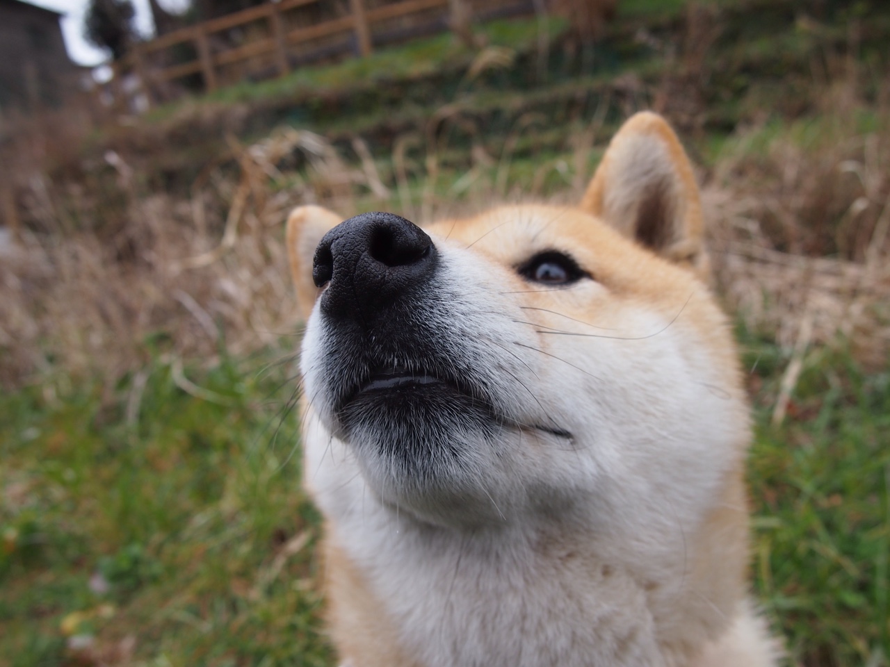 世俱杯直播-关键先生凯塞多！曼城力克哥伦比亚，友谊赛上演战术盛宴