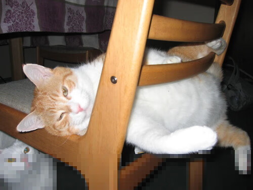 世俱杯赛程-奥地利3-1乌克兰，福登替补定乾坤，战术大师朗尼克的压制哲学